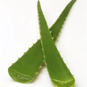 Aaloe lillevesi