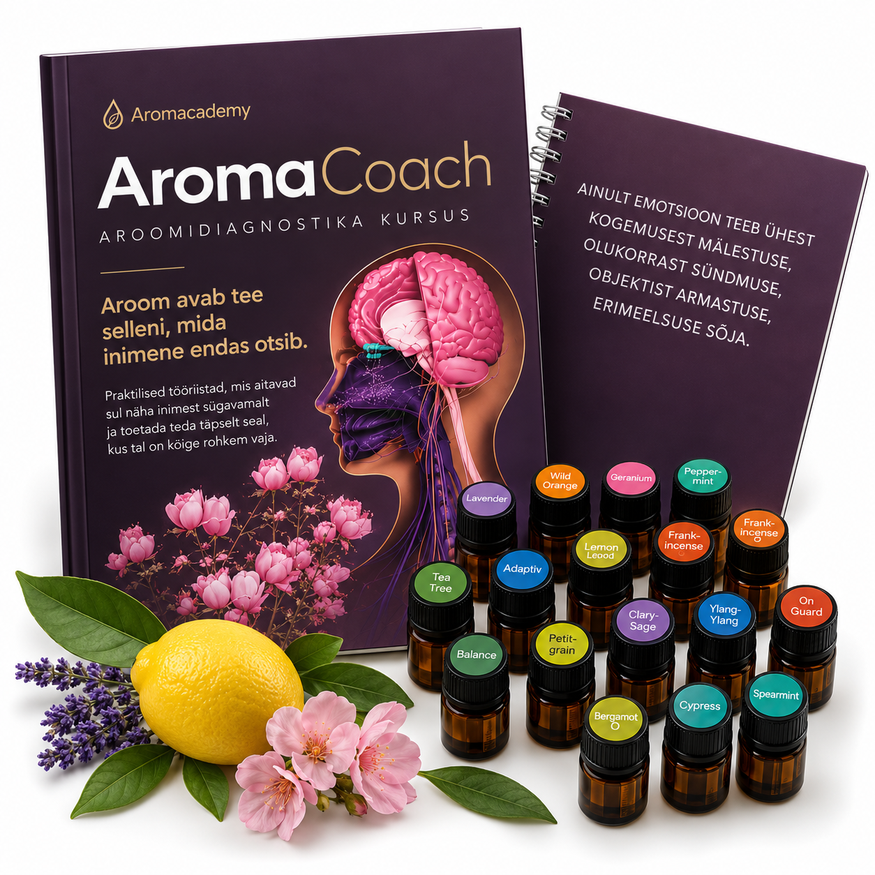 AROMACOACH: AROOMIDIAGNOSTIKA SÜVAKURSUS